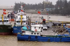  Le rétablissement des activités de pêche suite au scandale de Formosa