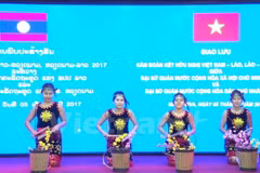 Un spectacle pour marquer les relations diplomatiques Vietnam-Laos