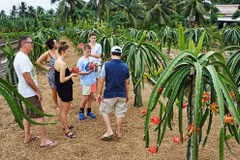 Tourisme: le Vietnam table sur l’objectif de 35 milliards de dollars dans 4 prochaines années