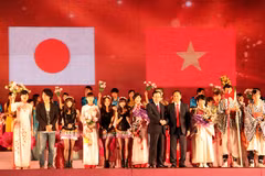 Da Nang se prépare au festival d'échanges culturels Vietnam-Japon 2017 