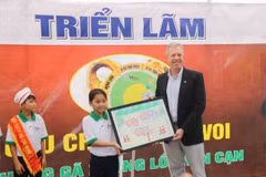 Création d’une zone de préservation des éléphants à Quang Nam
