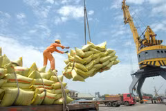 En 2020, le riz rapportera au pays 2,3 milliards de dollars