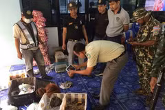 Thaïlande : bébés orangs-outans et tortues sauvés de la contrebande
