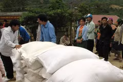 Aide en riz pour six districts pauvres de la province de Ha Giang