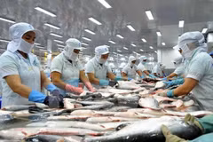 Le pangasius du Vietnam à la conquête de l’Arabie saoudite 