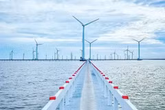 Le delta du Mékong œuvre pour faire progresser le développement des énergies renouvelables