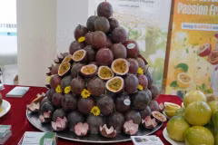 Le Vietnam exporte des fruits de la passion vers l’Australie