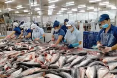 Les exportations de produits aquatiques devraient atteindre 4,4 milliards de dollars au premier semestre