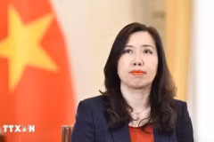 La vice-ministre des Affaires étrangères (AE), Lê Thi Thu Hang, également présidente du Comité d'État chargé des Vietnamiens résidant à l'étranger. Photo: VNA