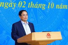 Le Premier ministre préside une réunion sur la mise en œuvre des engagements pris par le Vietnam lors de la COP26. Photo: VNA