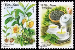 Deux échantillons de timbres présentant les théiers et la culture de thé du Vietnam. Photo: Vietnam Post 