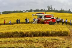 Les Accords de libre-échange - moteur de la croissance agricole