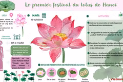 Le premier festival du lotus de Hanoi 