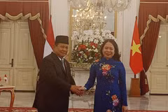 La vice-présidente vietnamienne, Vo Thi Anh Xuân, et le président indonésien, Prabowo Subianto. Photo: VNA