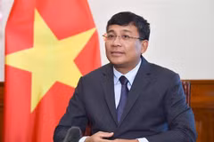 Le vice-ministre permanent des Affaires étrangères Nguyên Minh Vu. Photo: VNA