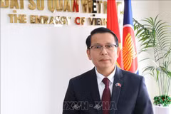 L’ambassadeur du Vietnam en Nouvelle-Zélande, Nguyên Van Trung. Photo : VNA