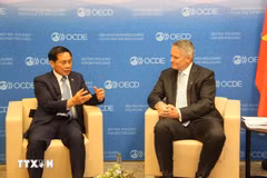 Le ministre ministre vietnamien des Affaires étrangères Bui Thanh Son (à gauche) et le secrétaire général de l’OCDE, Mathias Cormann. Photo: VNA