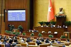 Les députés votent pour l’adoption de la Loi sur la valeur ajoutée, à Hanoi, le 26 novembre. Photo : VNA