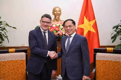 Le vice-Premier ministre et ministre des Affaires étrangères Bui Thanh Son (à droite) serre la main du ministre-président du Land de Hesse Boris Rhein, à Hanoi, le 28 novembre. Photo : VNA