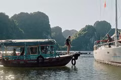 "Checker Tobi and the Journey to the Flying Rivers" emmènera le public dans des scènes de la grotte de Son Doong, de la baie d'Ha Long et de Hanoi. Photo gracieuseté de l'Institut Goethe de Hanoi
