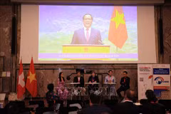 Duong Xuân Huyên, vice-président permanent du Comité populaire de la province de Lang Son, intervenant par visioconférence depuis le Vietnam. Photo : VNA