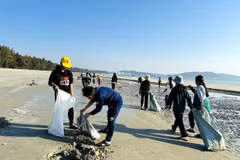 Les élèves sur l’île de Cô Tô participent à la collecte des déchets et au nettoyage de la plage. Photo : VNA