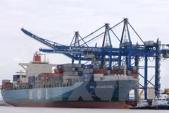 Ba Ria-Vung Tau: le port SSIT accueille le premier porte-conteneurs