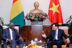Le Vietnam et la Guinée cherchent à développer leur coopération