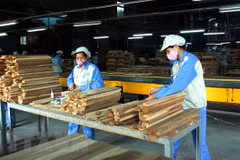 Les exportations de produits sylvicoles atteignent 5,8 milliards de dollars en huit mois