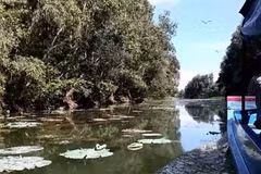 La zone humide de Lang Sen, 7e site Ramsar du Vietnam