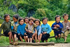 L’ONU aide le Vietnam à améliorer la sécurité alimentaire et la nutrition 