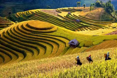 Semaine culturelle et touristique des rizières en terrasses de Mù Cang Chai 
