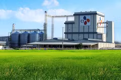 Plus de 31 millions de dollars pour la construction d'une provenderie à Ha Nam