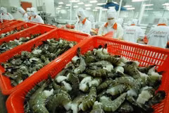 Promotion de l’exportation des produits agricoles vietnamiens au Canada