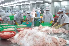Les entreprises aquatiques péruviennes recherchent des opportunités d’affaires au Vietnam
