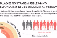 Les maladies non transmissibles responsables de 73% des décès au Vietnam