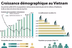 Evolution de la population vietnamienne