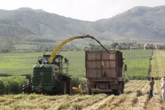 Le 12e Congrès du Parti : le développement agricole associé à l'édification d'une Nouvelle ruralité