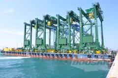 Doosan Vina exporte des grues portiques à roues de caoutchouc en Arabie Saoudite