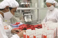 Vietnam-Inde : Rencontre d'entreprises dans le domaine de la santé 