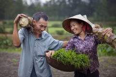 Acquis importants du Vietnam dans le domaine de l’égalité des sexes