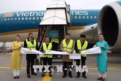 Vietnam Airlines exploite l’Airbus A350 sur les lignes à la destination de l’Allemagne