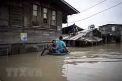 Typhon Mangkhut: messages de sympathie des dirigeants vietnamiens au président philippin 