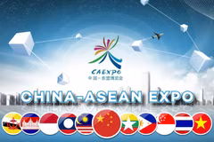 Le Vietnam participe à la 17e Foire Chine-ASEAN (CAEXPO)