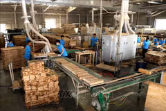 Les exportations de bois cherchent à saisir les opportunités offertes par les ALE