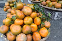 L'orange «Bu», un produit agricole clé du district de Huong Son (Ha Tinh)
