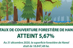 Le taux de couverture forestière de Hanoï atteint 5,67% 