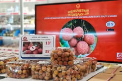 Promouvoir le rôle des Viêt kiêu dans la promotion des produits vietnamiens à l'étranger