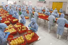 L'industrie manufacturière joue un rôle clé dans l'attraction des IDE
