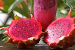 Semaine de promotion du fruit du dragon à chair rouge vietnamien en Australie